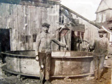 Vankorb GmbH